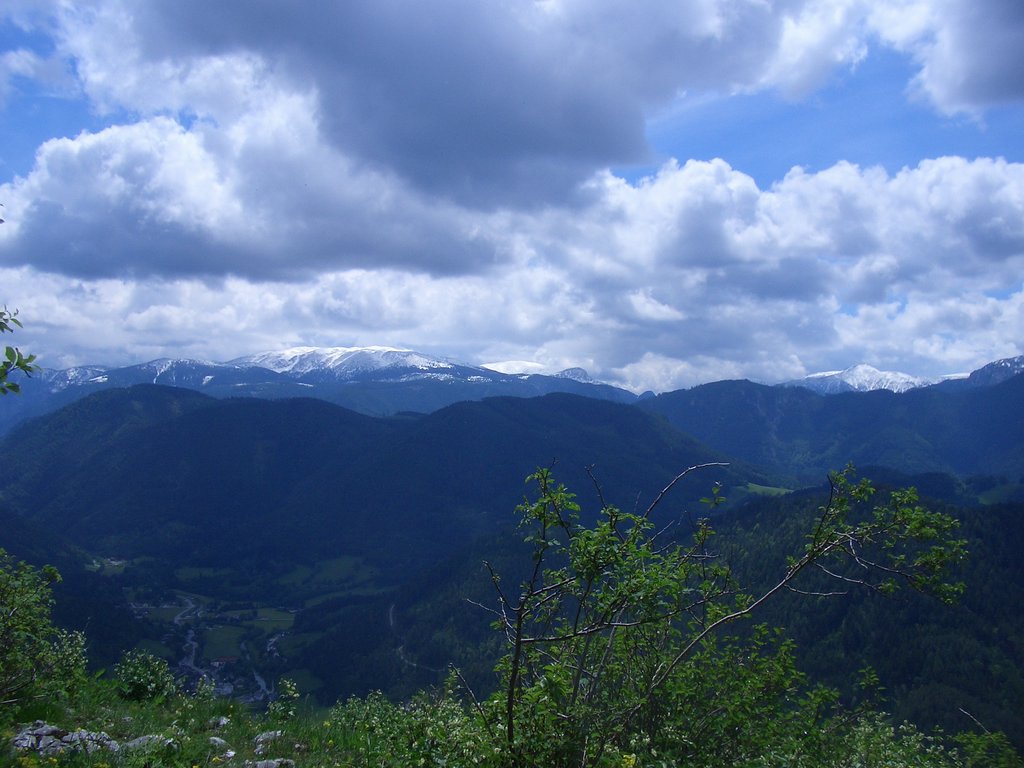 CIMG5267.JPG