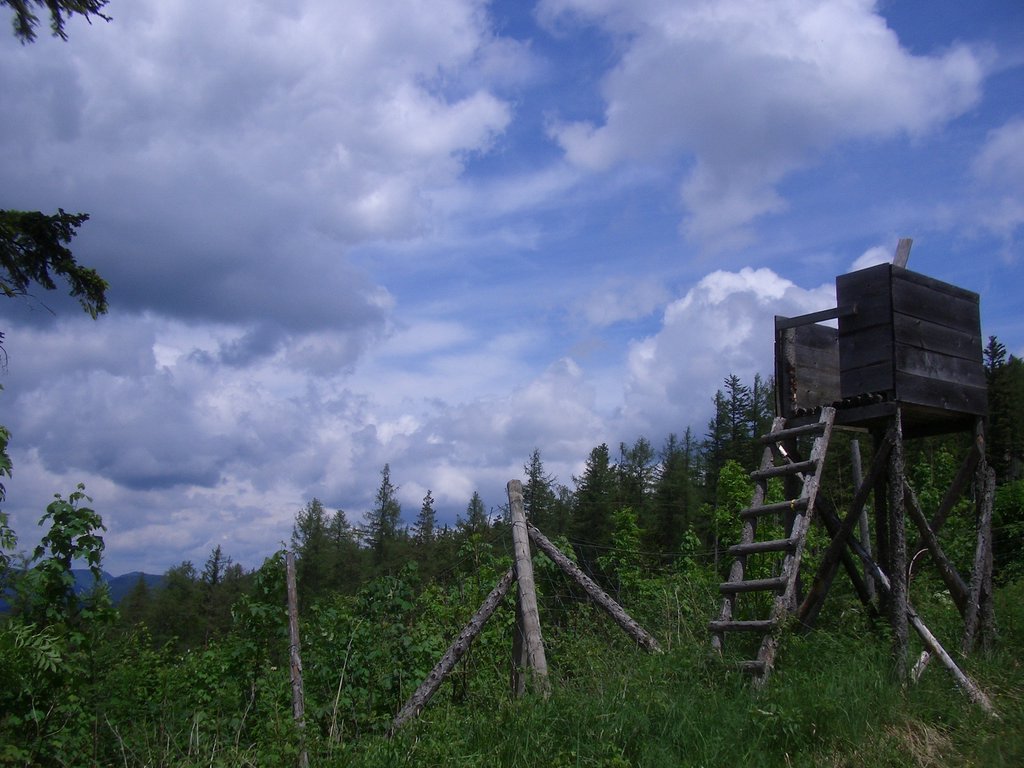 CIMG5268.JPG