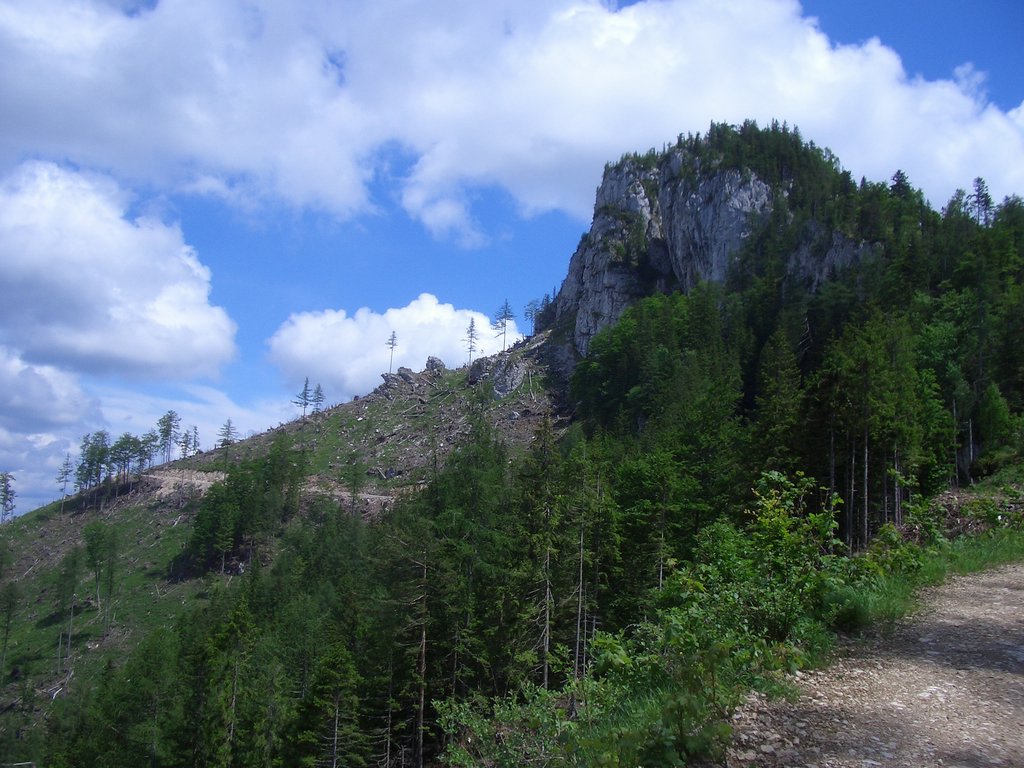 CIMG5284.JPG