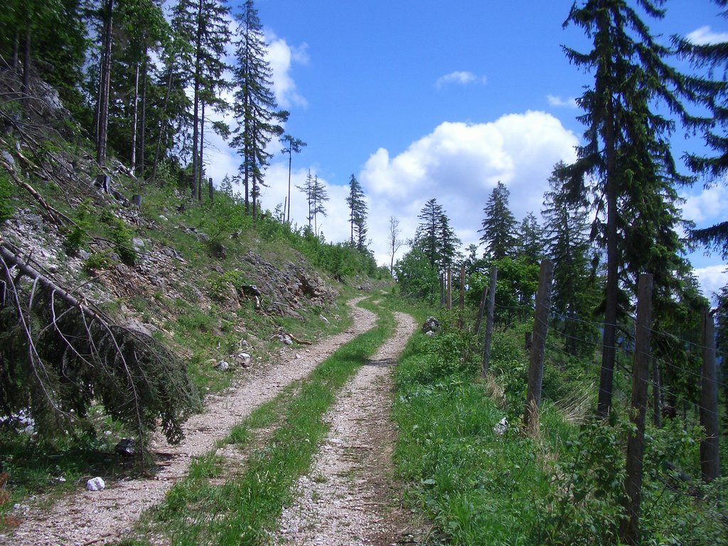 CIMG5288.JPG