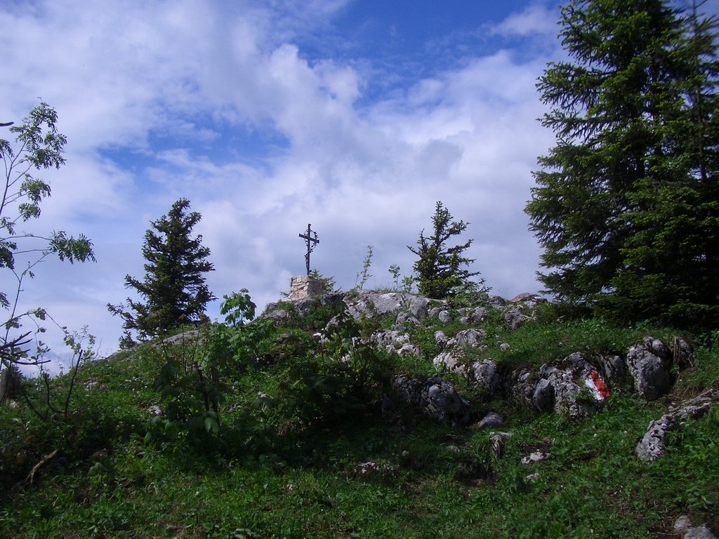 CIMG5301.JPG