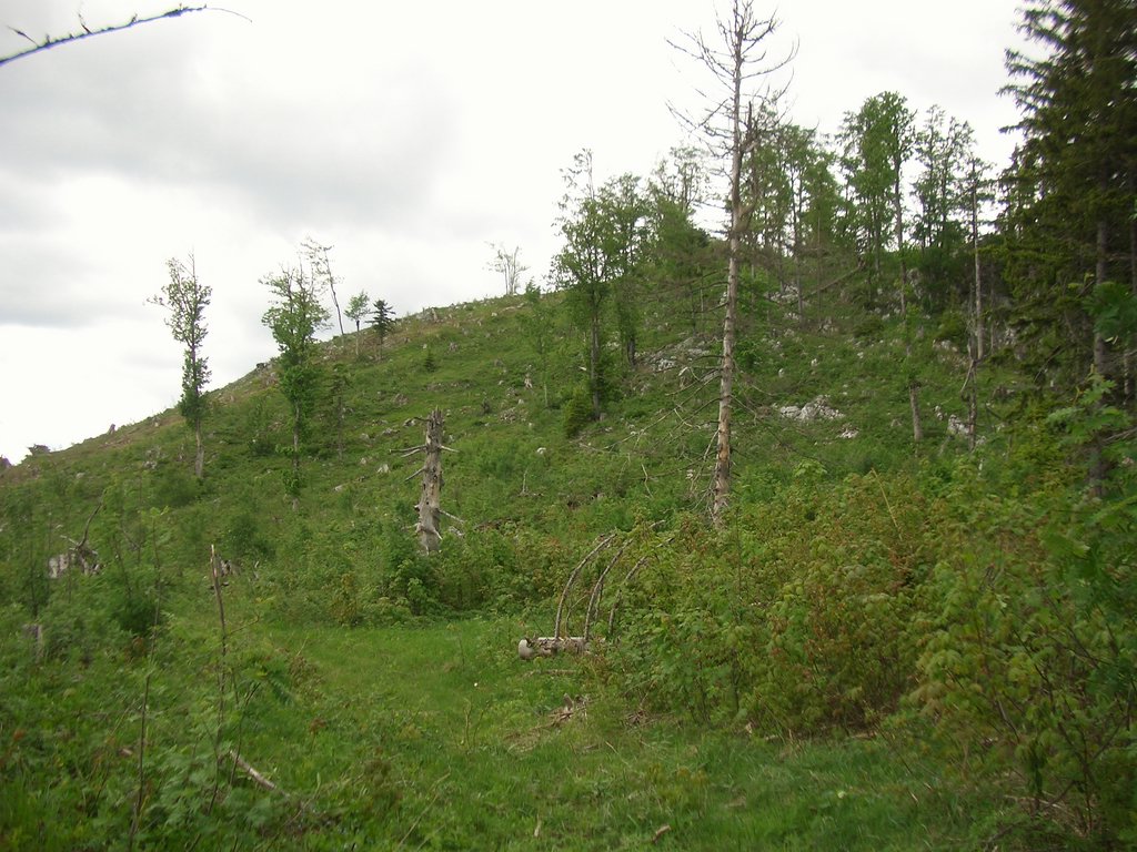 CIMG5306.JPG