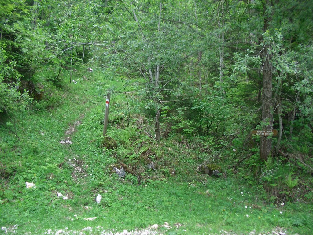 CIMG5308.JPG