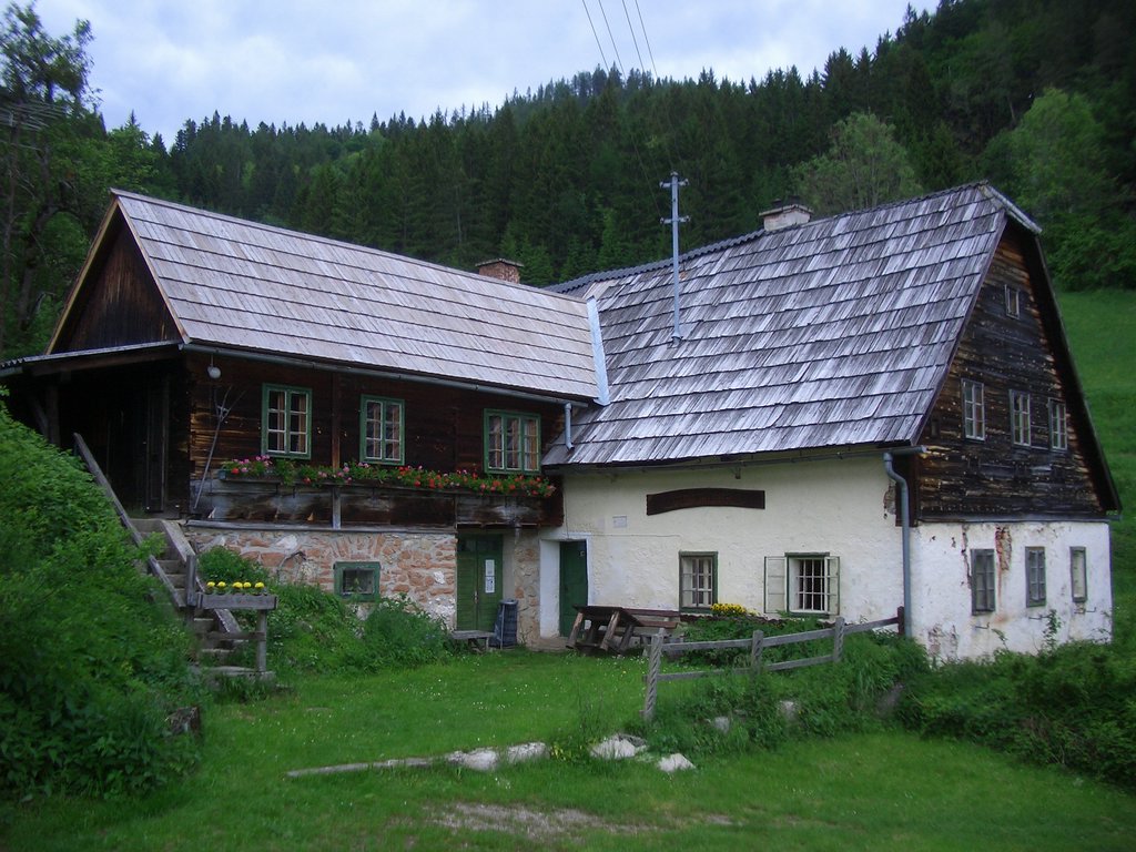 CIMG5317.JPG
