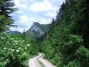 CIMG5236.JPG