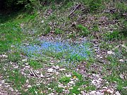 CIMG5269.JPG