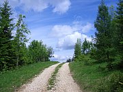 CIMG5274.JPG