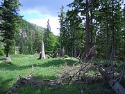 CIMG5280.JPG