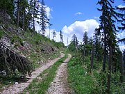 CIMG5288.JPG