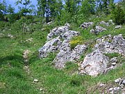 CIMG5294.JPG