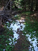 CIMG5300.JPG