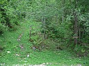 CIMG5308.JPG