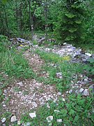 CIMG5309.JPG