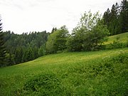 CIMG5313.JPG