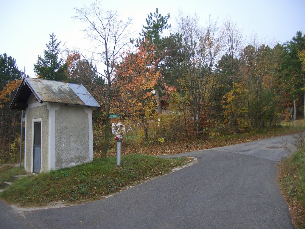 CIMG2960.JPG