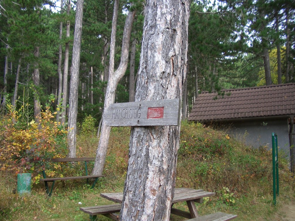 CIMG2961.JPG