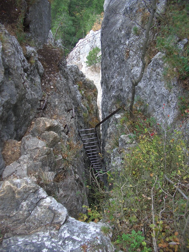 CIMG2986.JPG