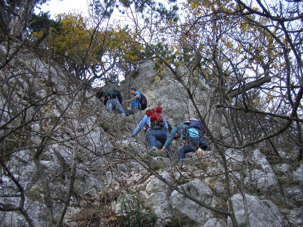 CIMG2987.JPG