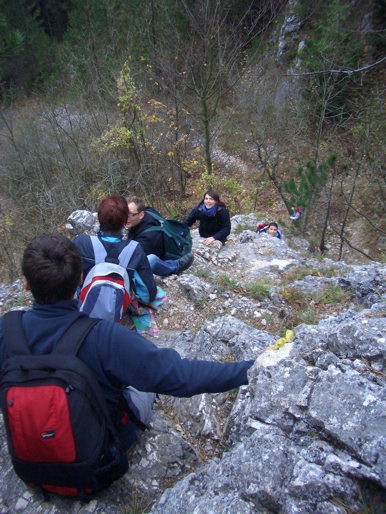 CIMG3013.JPG