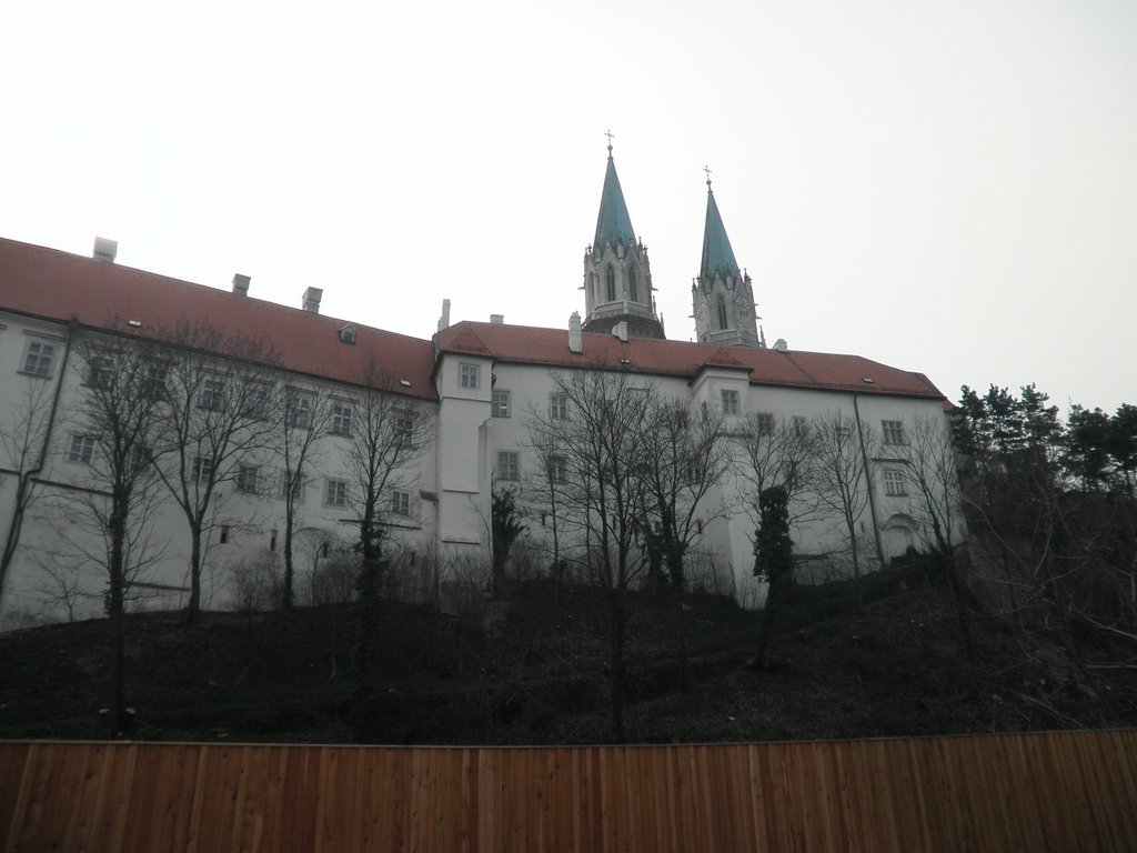 P3260003.JPG
