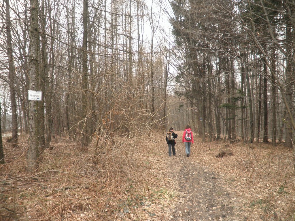 P3260023.JPG