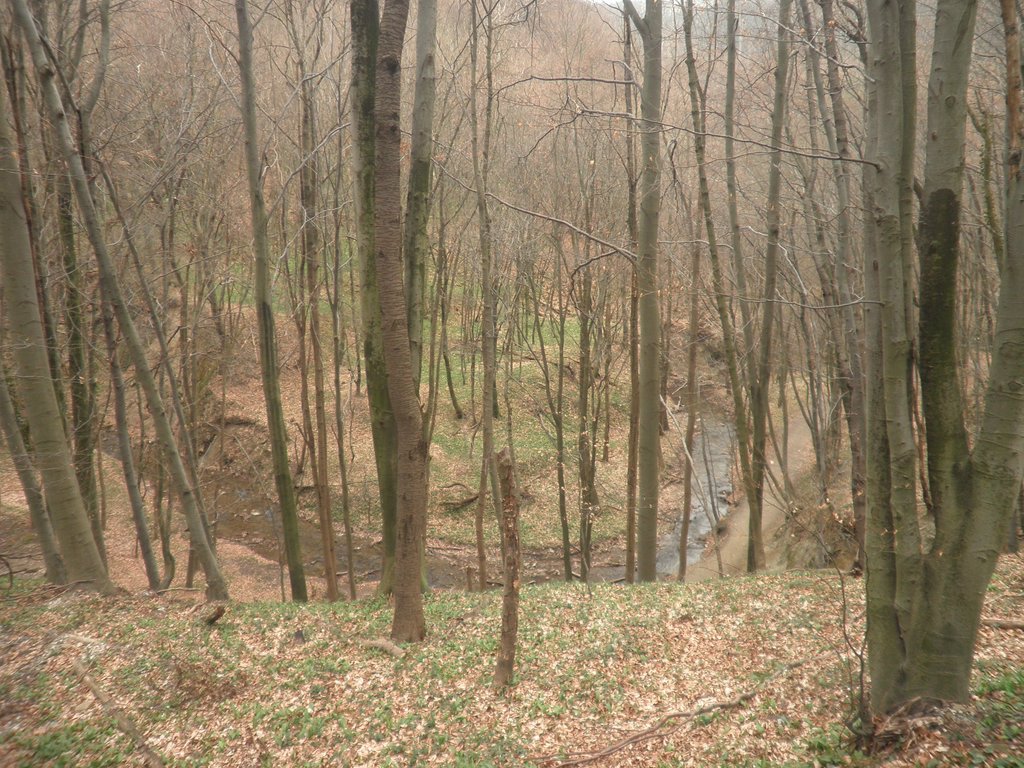 P3260027.JPG