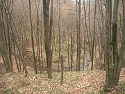 P3260027.JPG