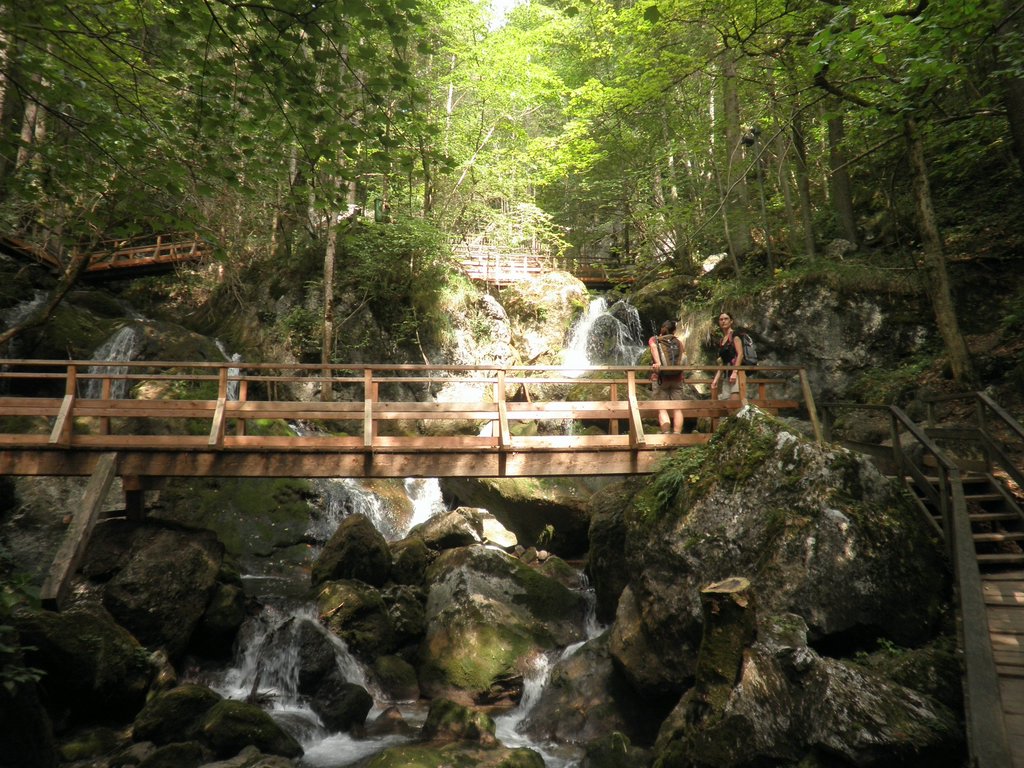 P9120009.JPG