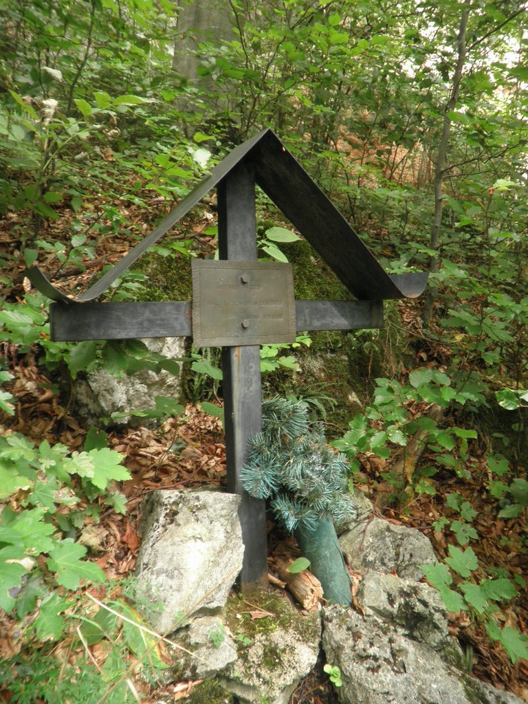 P9120020.JPG