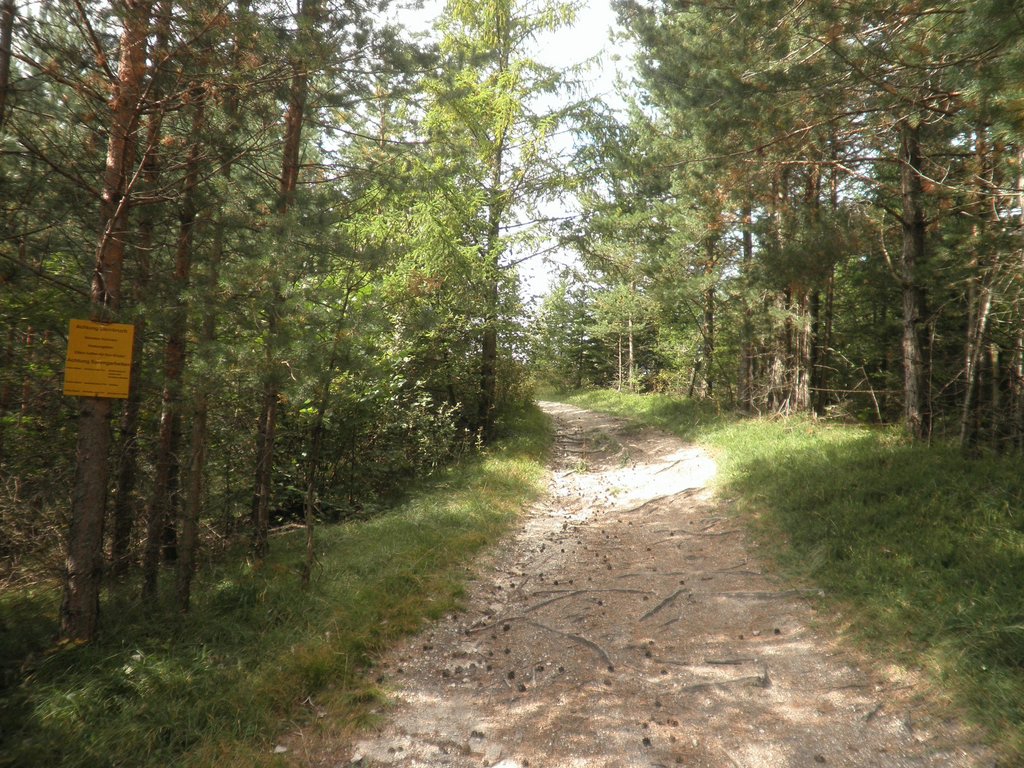 P9120036.JPG