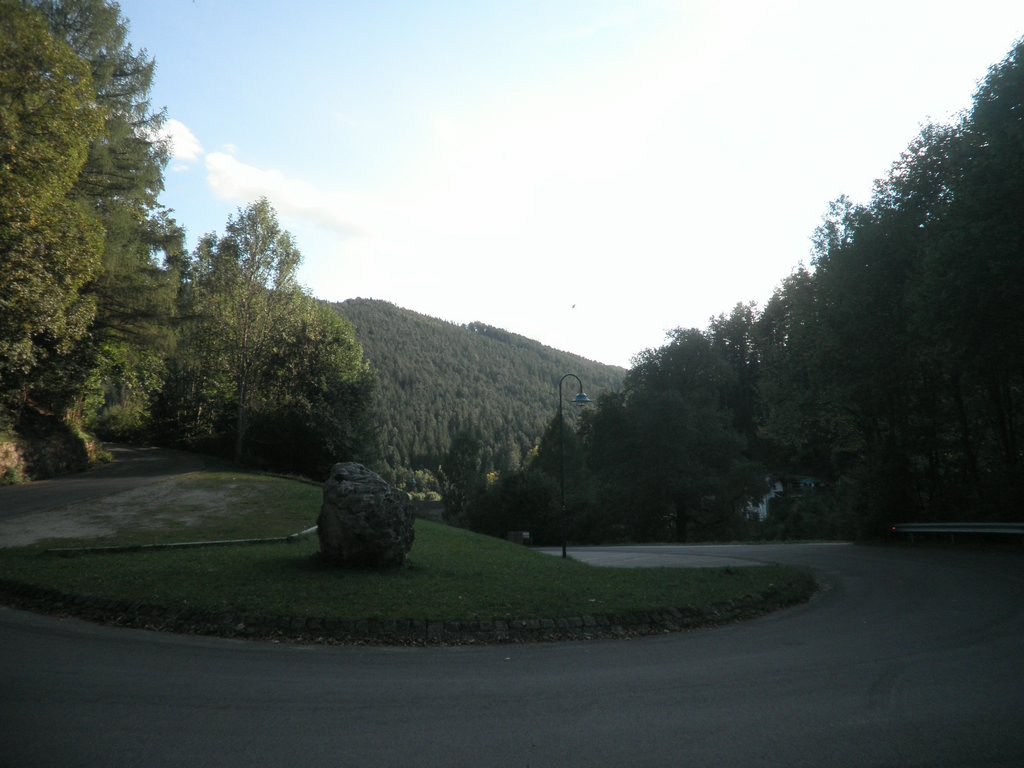 P9120067.JPG
