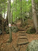 P9120015.JPG