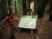 P9120016.JPG