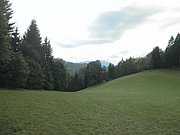 P9120021.JPG