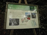 P9120023.JPG