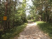 P9120036.JPG