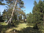 P9120051.JPG