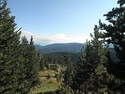 P9120056.JPG