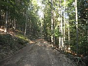P9120059.JPG