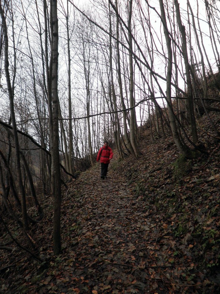 PB280006.JPG