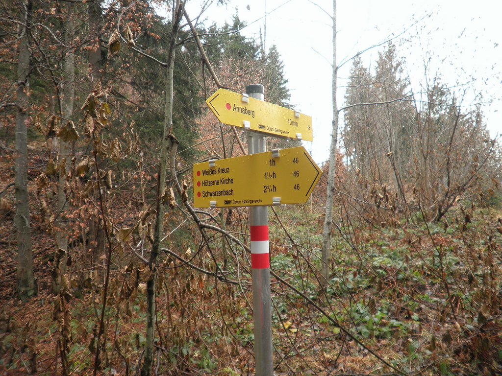 PB280008.JPG