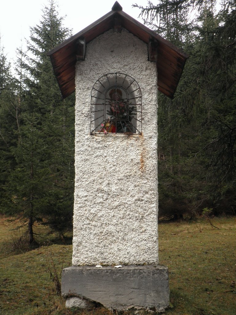 PB280021.JPG