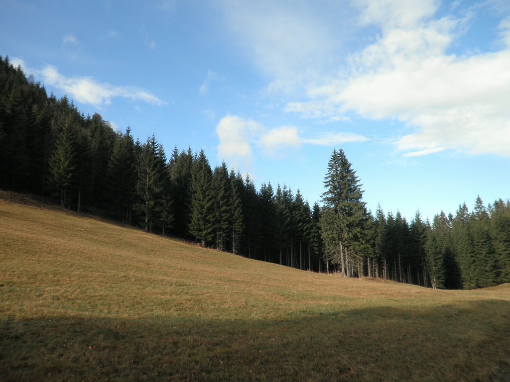 PB280028.JPG