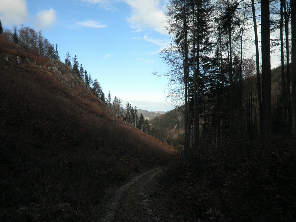 PB280032.JPG