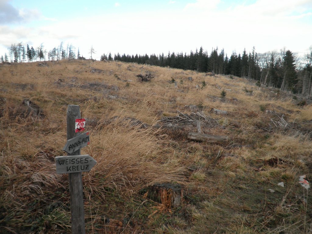 PB280055.JPG