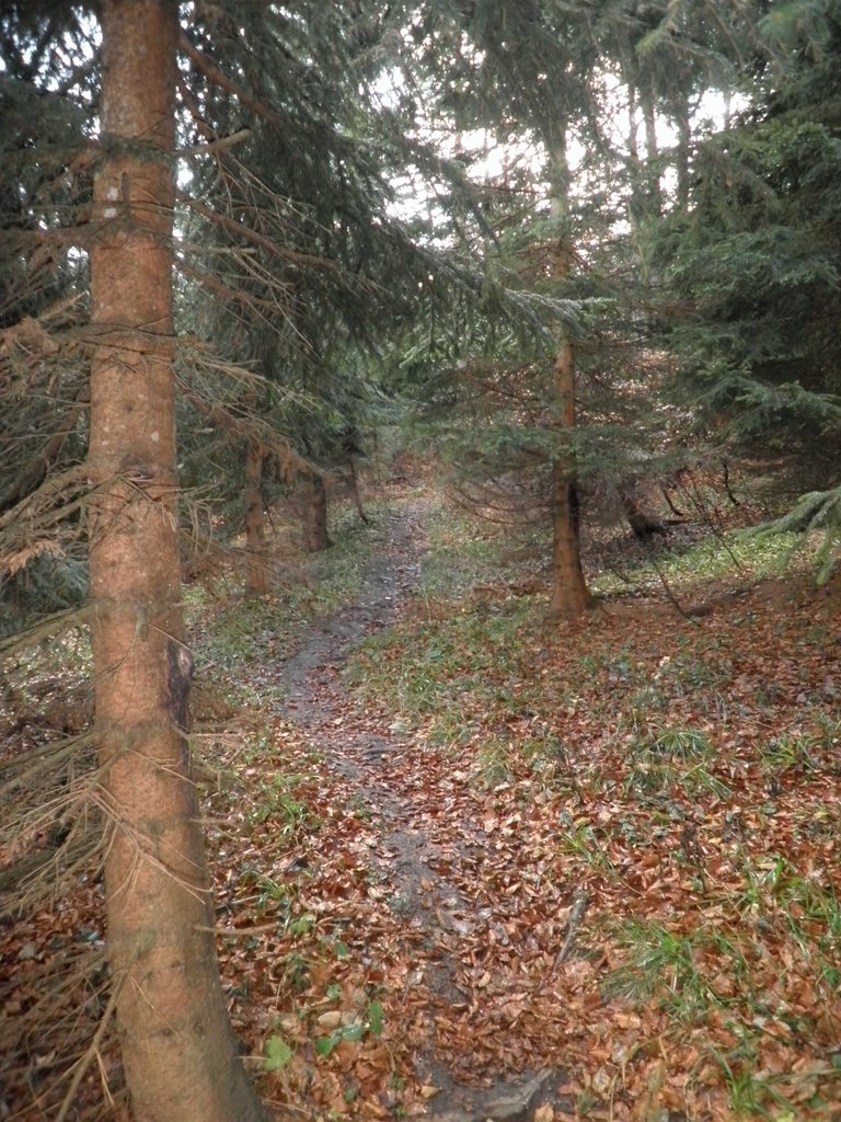 PB280058.JPG