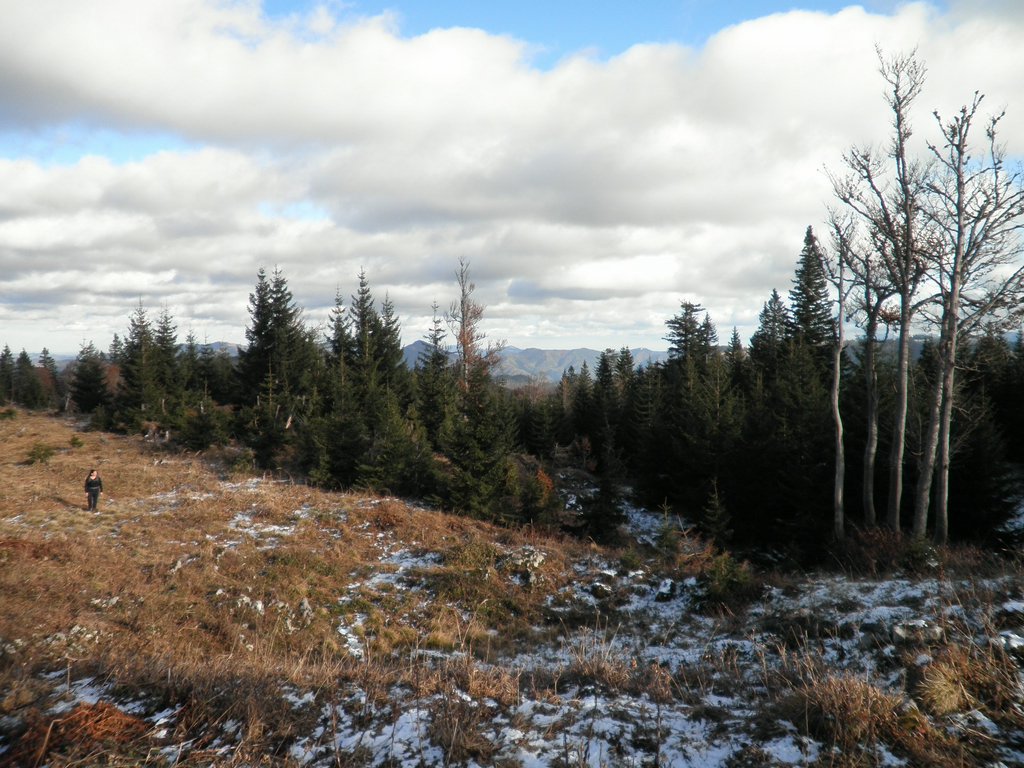 PB280060.JPG