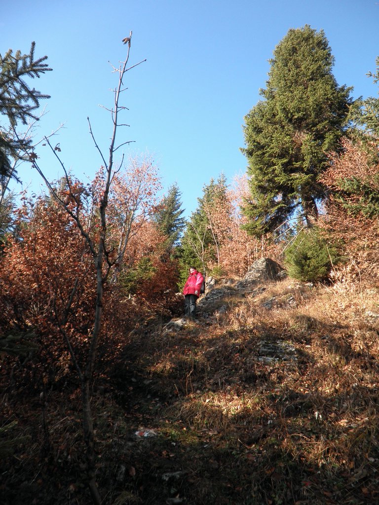 PB280067.JPG