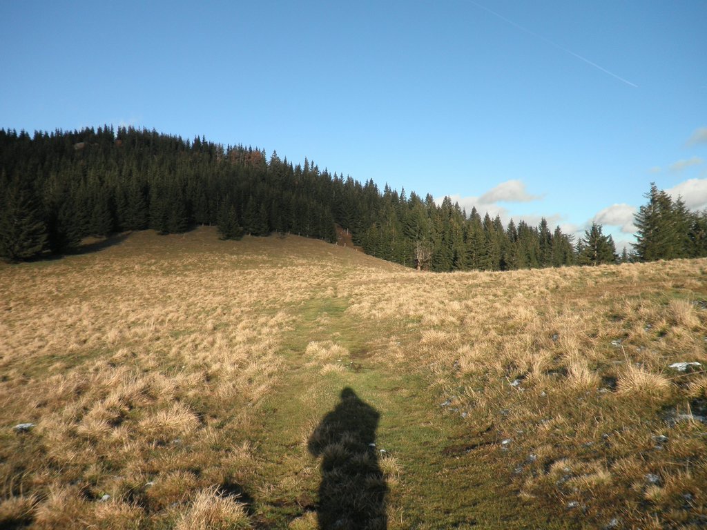 PB280072.JPG