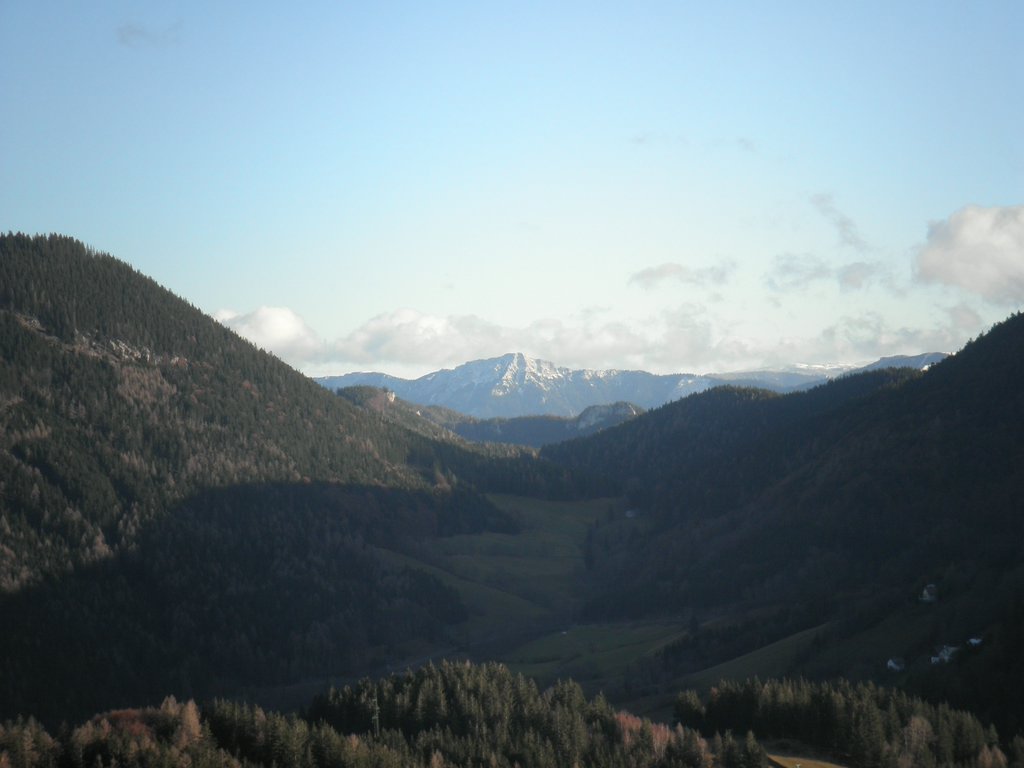 PB280082.JPG